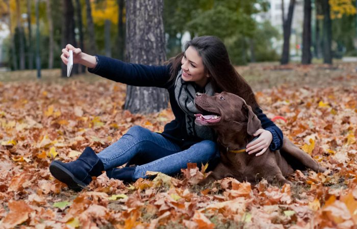 Turn Your Home into a Pet Paradise with These Must-Have Products