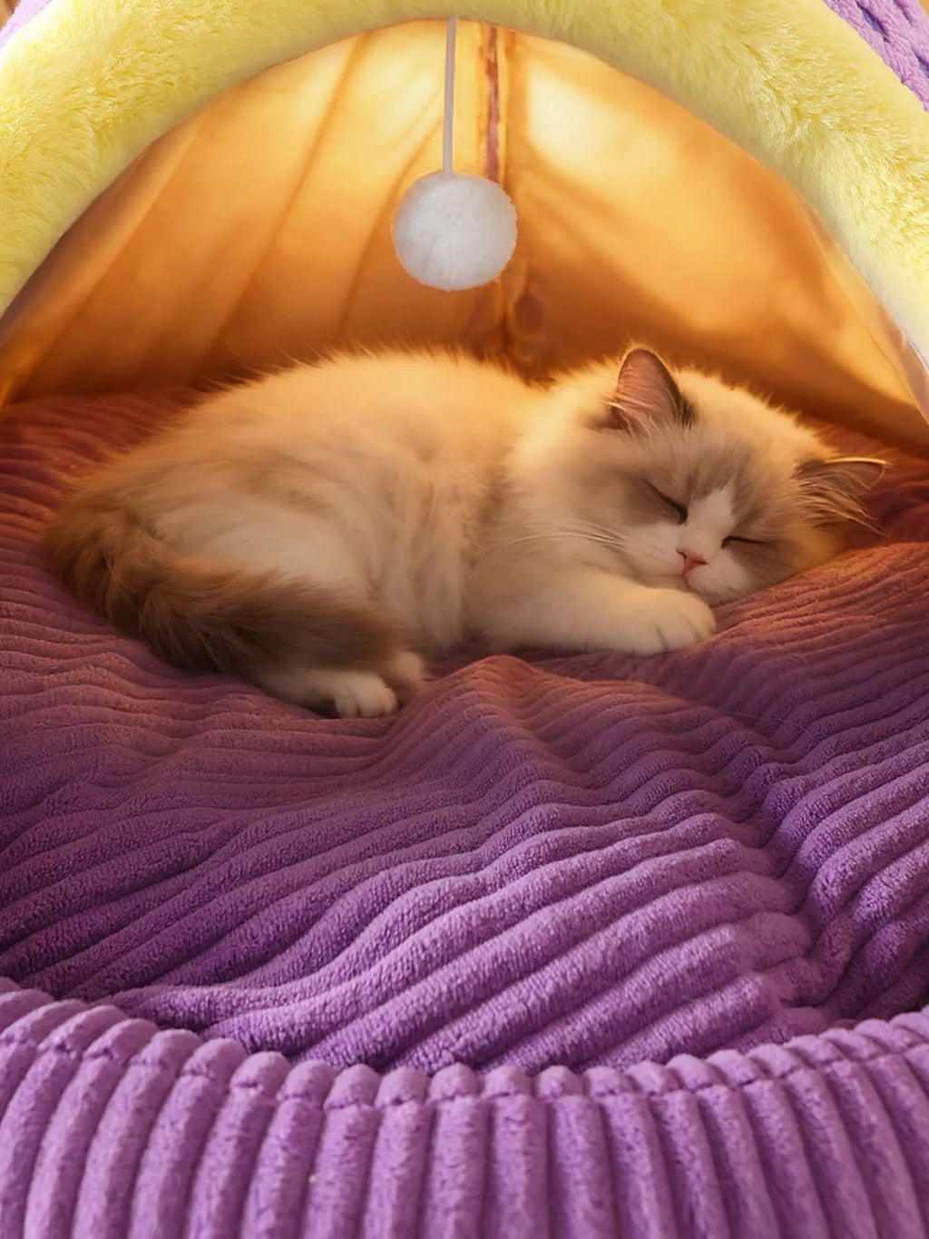 8dce74fe-ed2f-4c1a-a67c-0276dc363deb-Max-Origin